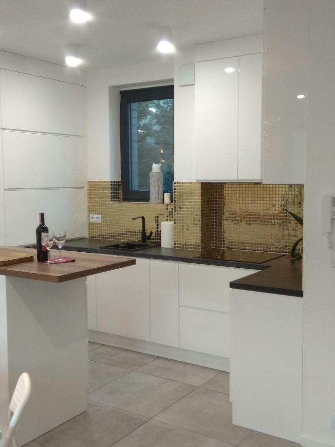 שורזוב Luxury Apartment With Own Parking מראה חיצוני תמונה